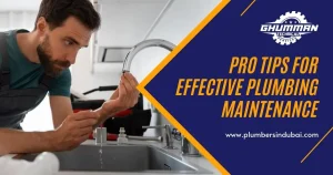Pro Tips for Effective Plumbing Maintenance