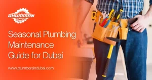 Seasonal Plumbing Maintenance Guide for Dubai