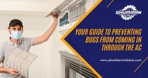 Your Guide to Preventing Bugs from Coming in Through the AC