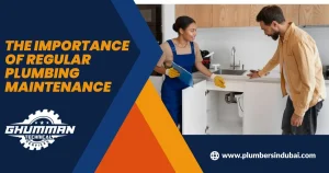 The Importance of Regular Plumbing Maintenance