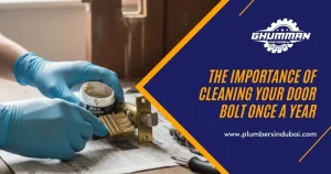 The Importance of Cleaning Your Door Bolt Once a Year