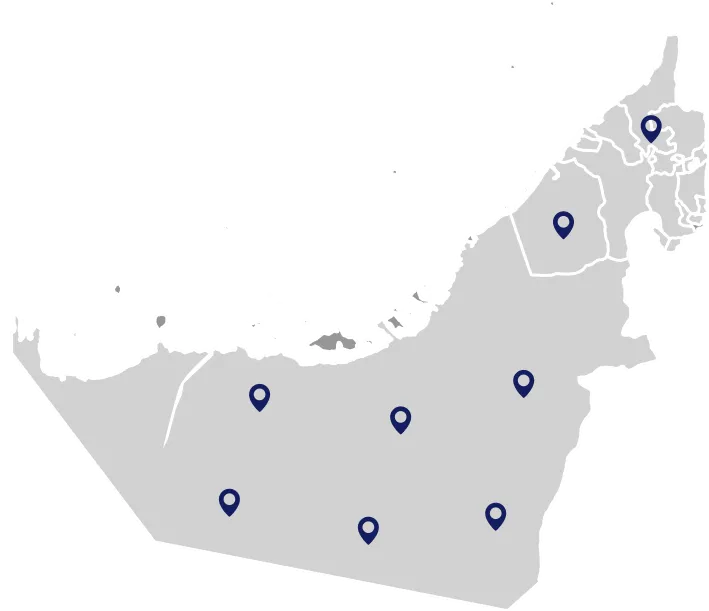 professional plumbing repair service in dubai